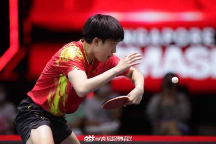 王楚钦3比0王臻 王楚钦3比0王臻