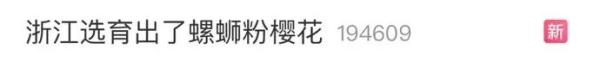 “螺蛳粉”味樱花真培育出来了！网友：漫山遍野的酸笋味儿?