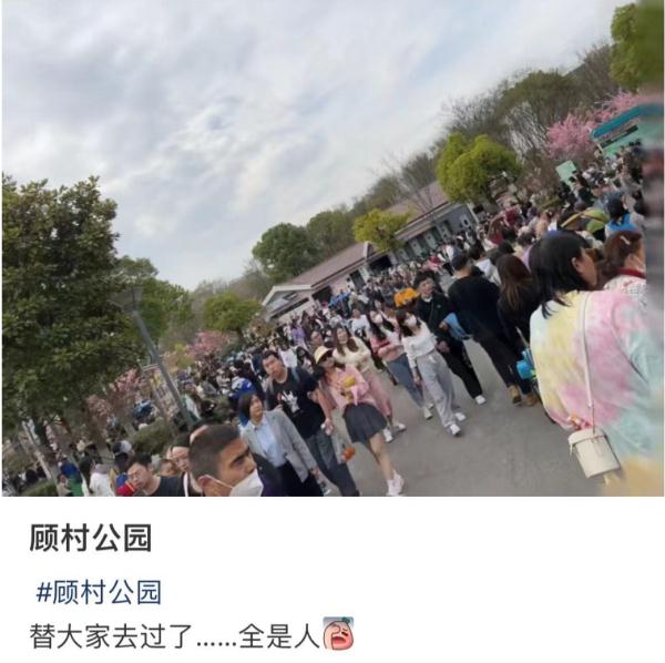 2天10万人涌入，树都不够用！上海顾村公园樱花树几乎都被占领拍照，网友热议
