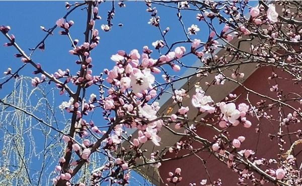 冷暖空气频繁交替,甘肃部分地方降温5℃至7℃ 冷暖空气频繁交替,甘肃部分地方降温5℃至7℃