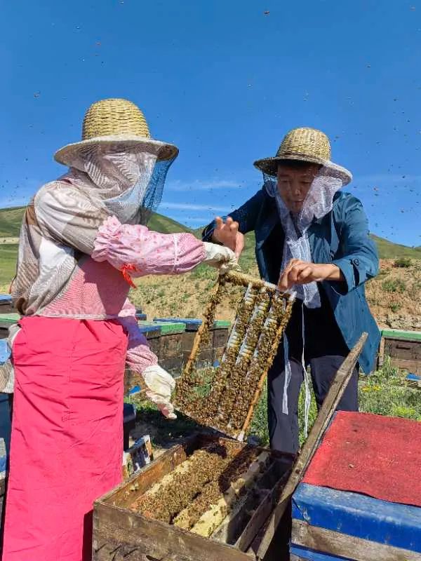 气象赋能“甜蜜产业”？“背景太假哥”再定1亿小目标！