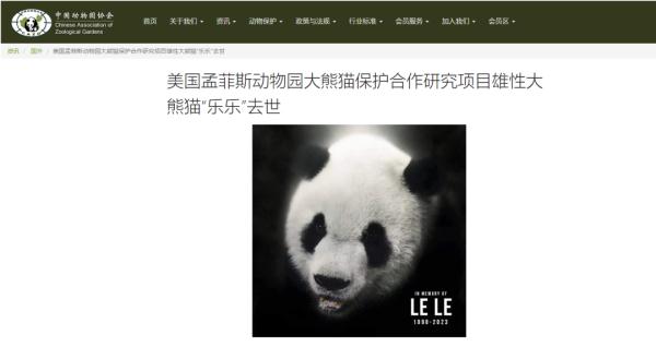 美国公示“丫丫”“乐乐”回国申请，盼望着盼望着……
