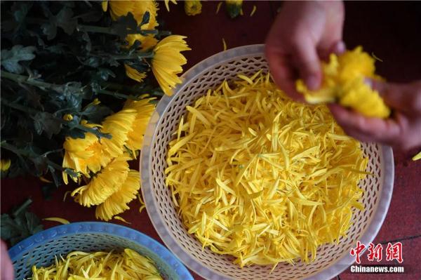 春日，用味蕾“赏”花