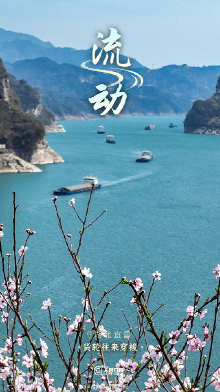 一路繁花一路春！春天里的中国自带氛围感