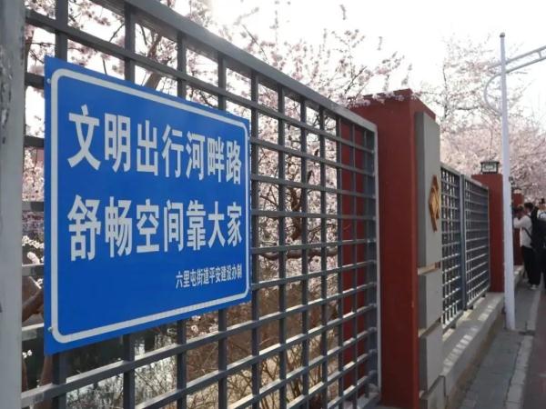 爬上墙头、踩着石台、摇晃花瓣……京城这条河岸边为何水泄不通？