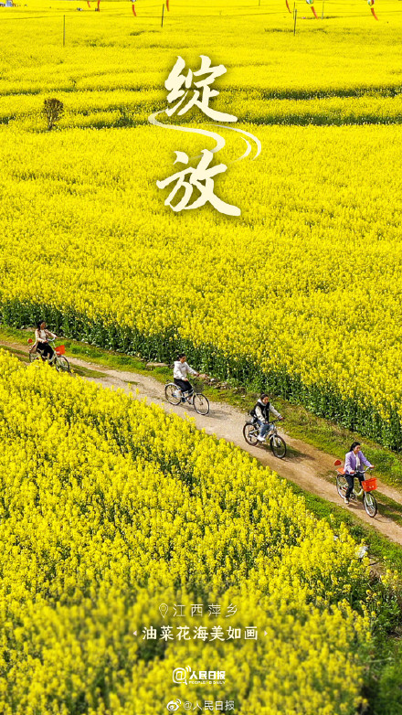 一路繁花一路春！春天里的中国自带氛围感