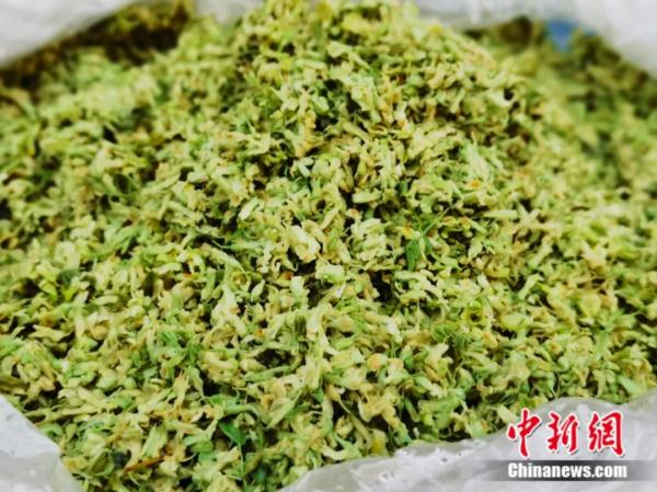 春日，用味蕾“赏”花