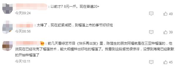 榴莲价格或将大跌？实现“榴莲自由”？