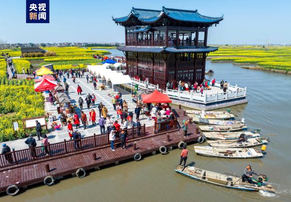 江苏兴化:“垛”上花开 江苏兴化:“垛”上花开