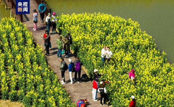 江苏兴化:“垛”上花开 江苏兴化:“垛”上花开