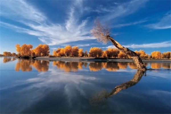 气象赋能“甜蜜产业”？“背景太假哥”再定1亿小目标！