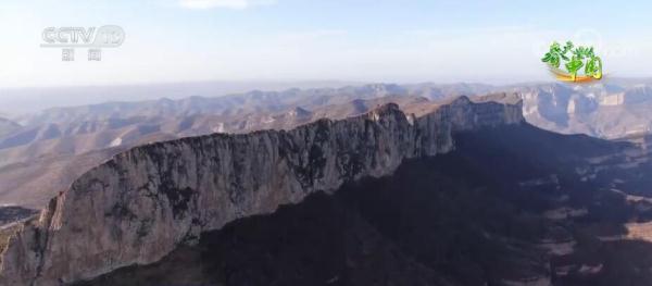 美丽中国百花开 柳绿花红醉春色 美丽中国百花开 柳绿花红醉春色