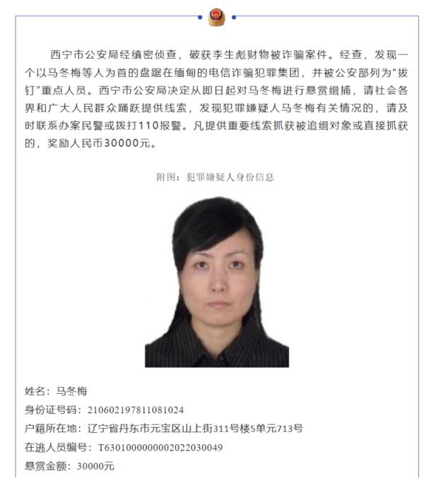 “马冬梅”，涉案一百余万