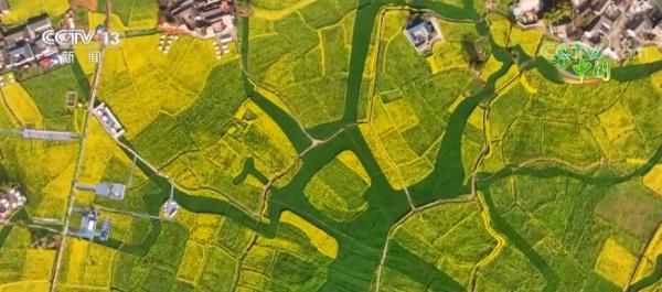 美丽中国百花开 柳绿花红醉春色 美丽中国百花开 柳绿花红醉春色