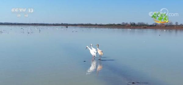 美丽中国百花开 柳绿花红醉春色 美丽中国百花开 柳绿花红醉春色