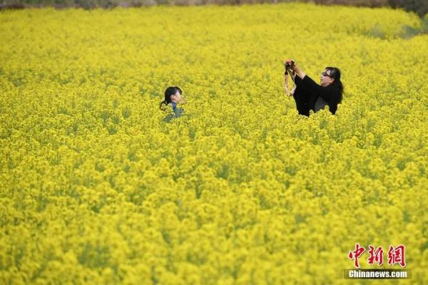 春日，用味蕾“赏”花