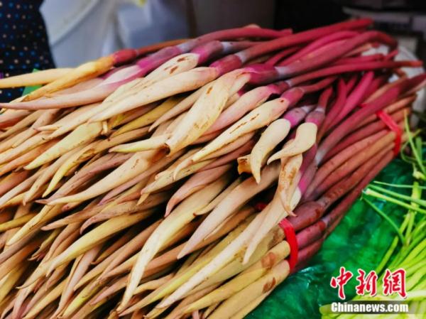 春日，用味蕾“赏”花