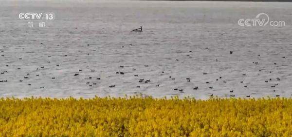 美丽中国百花开 柳绿花红醉春色 美丽中国百花开 柳绿花红醉春色