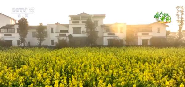 美丽中国百花开 柳绿花红醉春色 美丽中国百花开 柳绿花红醉春色