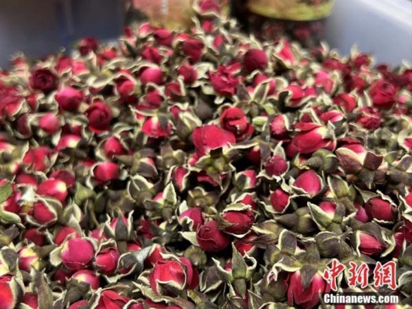 春日，用味蕾“赏”花