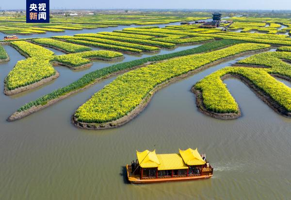 江苏兴化:“垛”上花开 江苏兴化:“垛”上花开