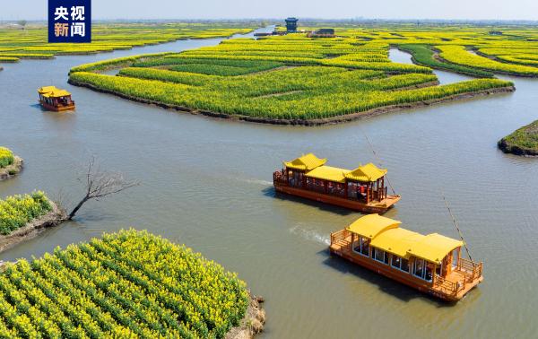 江苏兴化:“垛”上花开 江苏兴化:“垛”上花开