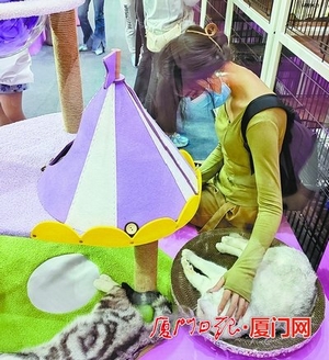 猫经济有潜力