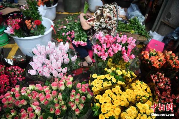 春日，用味蕾“赏”花
