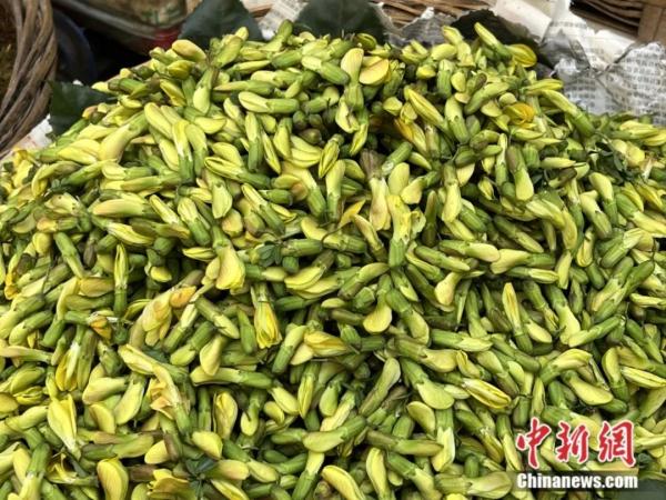春日，用味蕾“赏”花