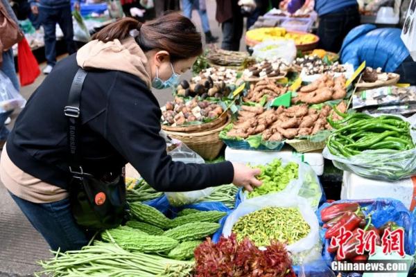 春日，用味蕾“赏”花