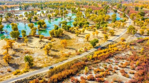 气象赋能“甜蜜产业”？“背景太假哥”再定1亿小目标！