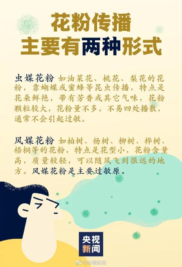 开始了!如何度过花粉过敏季?一起来了解~ 开始了!如何度过花粉过敏季?一起来了解~