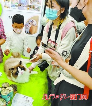 猫经济有潜力
