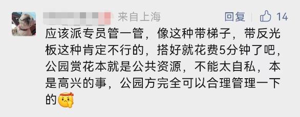 今天开幕！上海警方：大客流已是必然！“霸树”式拍照真的管不好？最大难点在于…