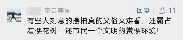 今天开幕！上海警方：大客流已是必然！“霸树”式拍照真的管不好？最大难点在于…