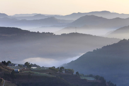 成都龙泉驿桃花本周末进入盛花期
