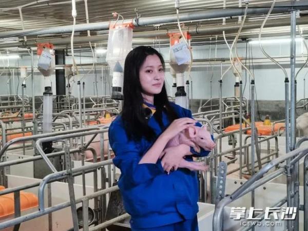 长沙这个妹子火了！“高颜值”“大学生”“95后”，养猪！