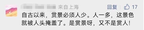 今天开幕！上海警方：大客流已是必然！“霸树”式拍照真的管不好？最大难点在于…