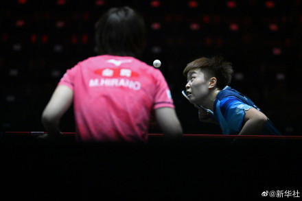 WTT新加坡大满贯樊振东王楚钦晋级八强