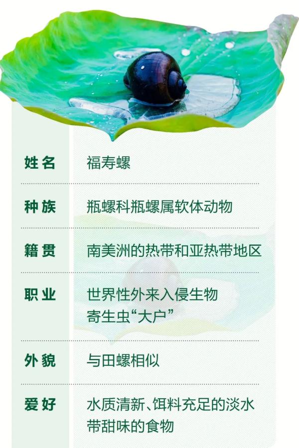 又来了！千万别摸，千万别吃！