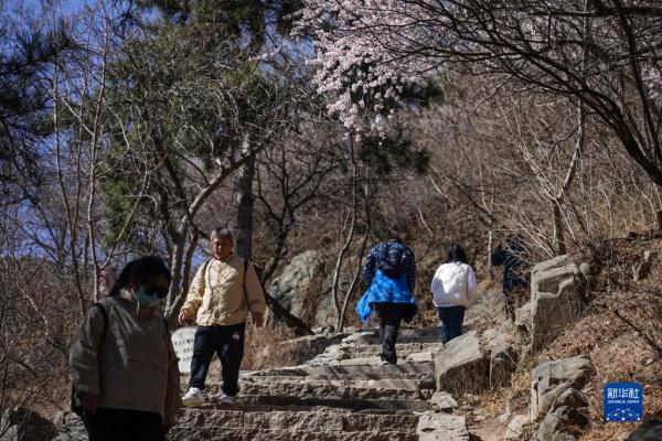北京:春到香山 北京:春到香山