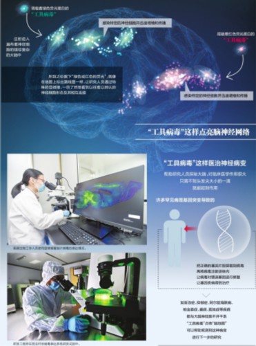 “工具病毒”点亮大脑