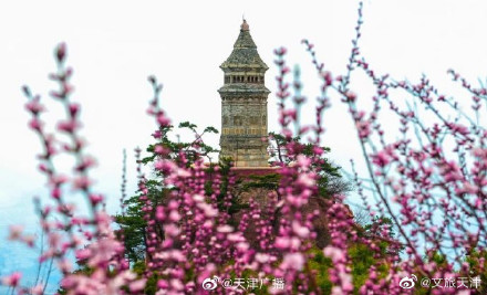 盘山景区全山开放 盘山景区全山开放