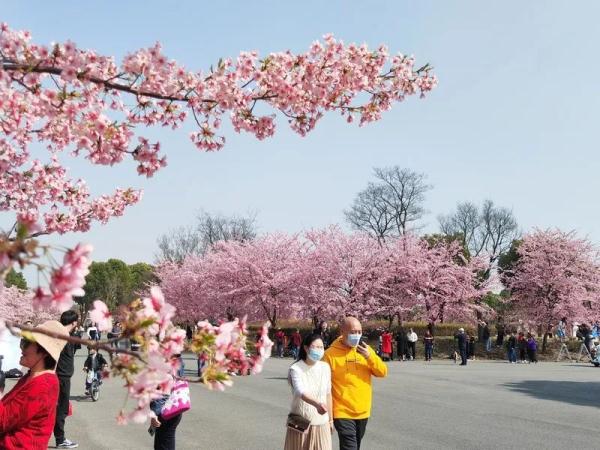 眼下上海最热门，今年恐怕要创历史！警方：大客流已是必然！