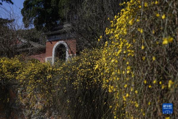 北京:春到香山 北京:春到香山