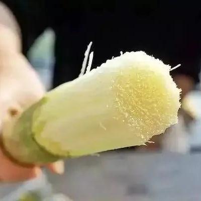 紧急提醒！吃了这种水果，有人进ICU，有人抽搐30年...