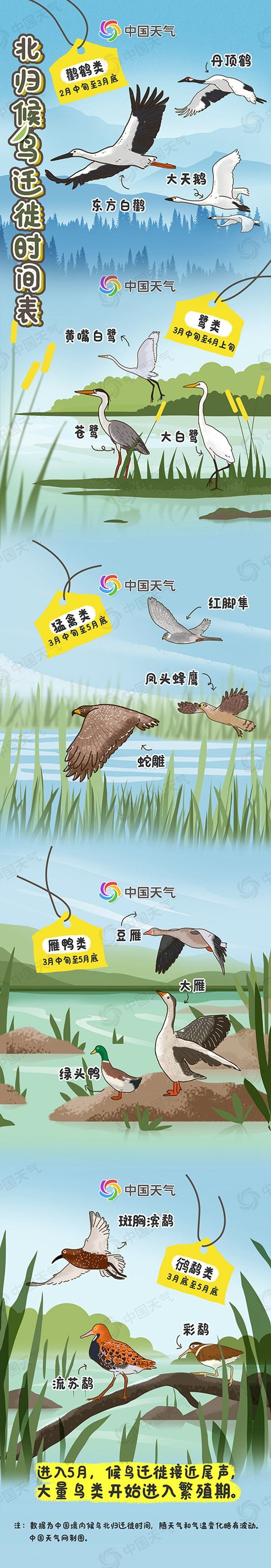 2023春季候鸟观赏地图出炉 这些地方渐入佳期