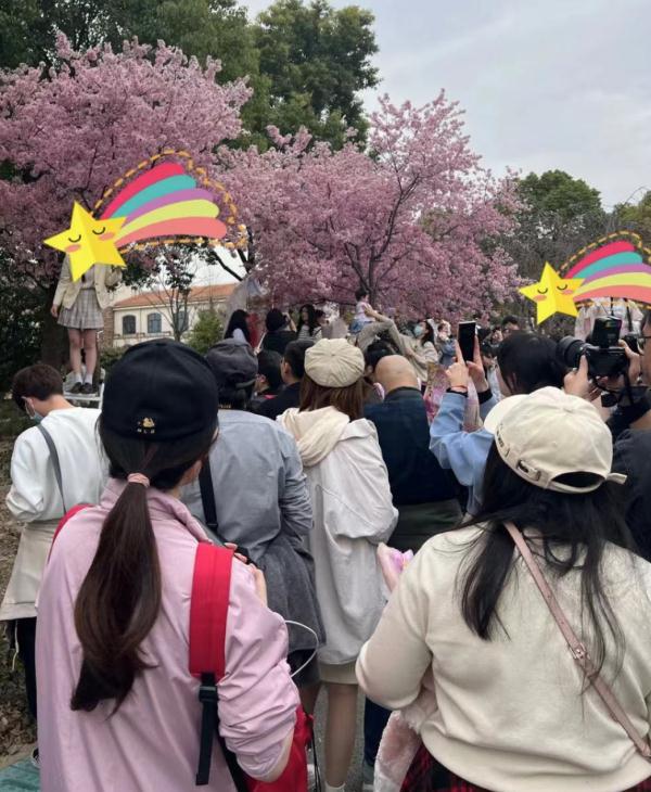 今天开幕！上海警方：大客流已是必然！“霸树”式拍照真的管不好？最大难点在于…
