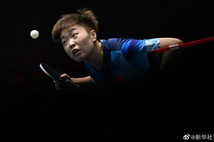 WTT新加坡大满贯樊振东王楚钦晋级八强