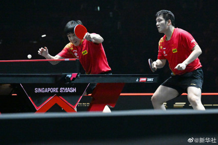 WTT新加坡大满贯樊振东王楚钦晋级八强